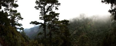 Mirador Barranco de los Poleos (Chincho)
