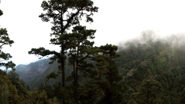 Mirador Barranco de los Poleos (Chincho)